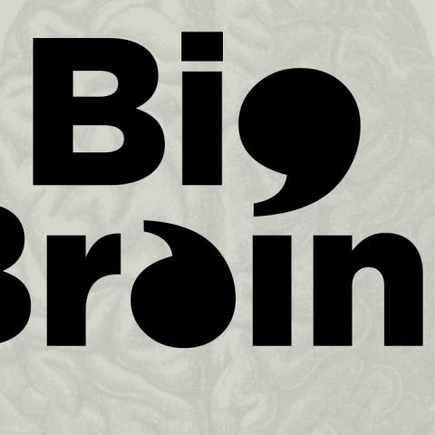 "Big Brains" text
