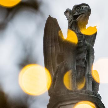 Photograph of a gargoyle statue on the campus of the University of Chicago with out-of-focus lights around it