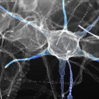 Artist's illustration of a neuron with long tendrils in black and white with small hints of color in the tendrils