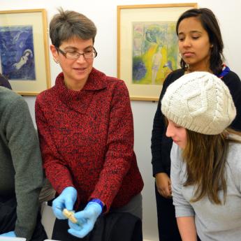 Prof. Peggy Mason showing students parts of the brain during a class.