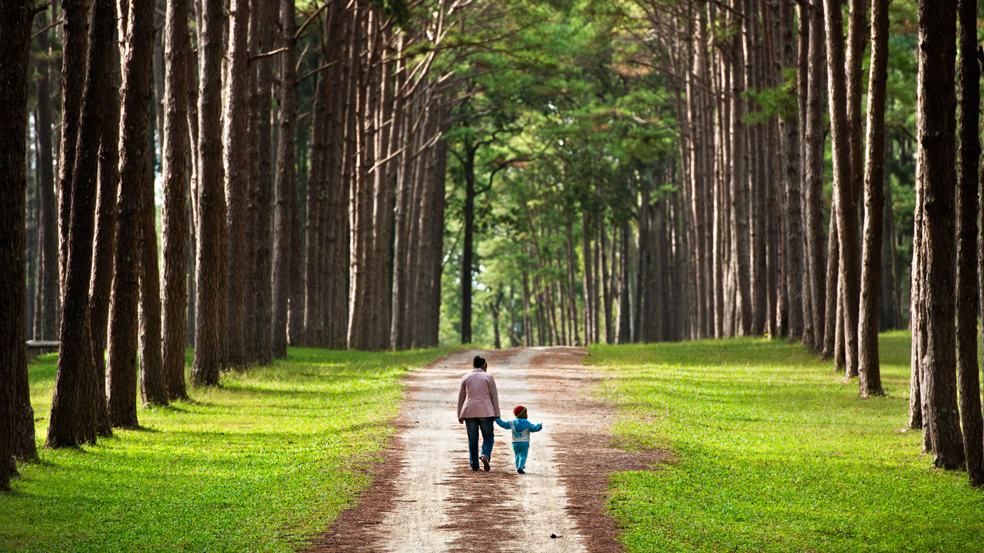 Children don't like nature as much as adults—but that changes with age | University of