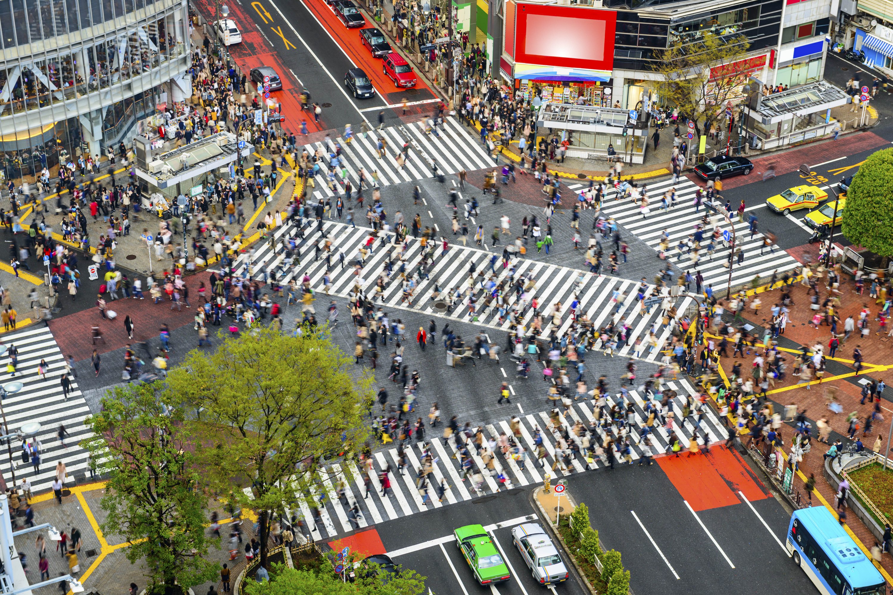 japon japon