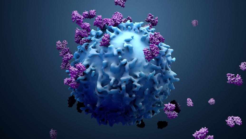 T-cells work to fight cancer