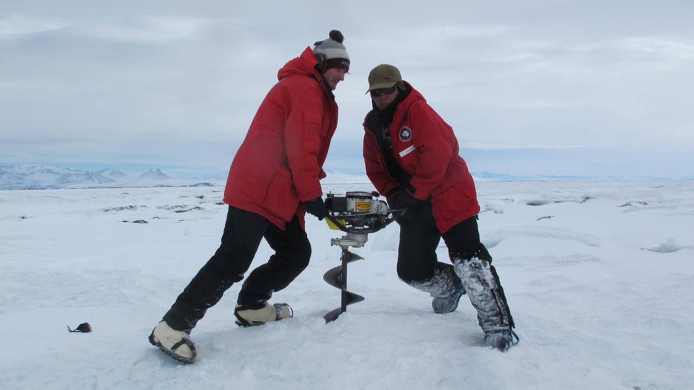 Image result for Alison Banwell