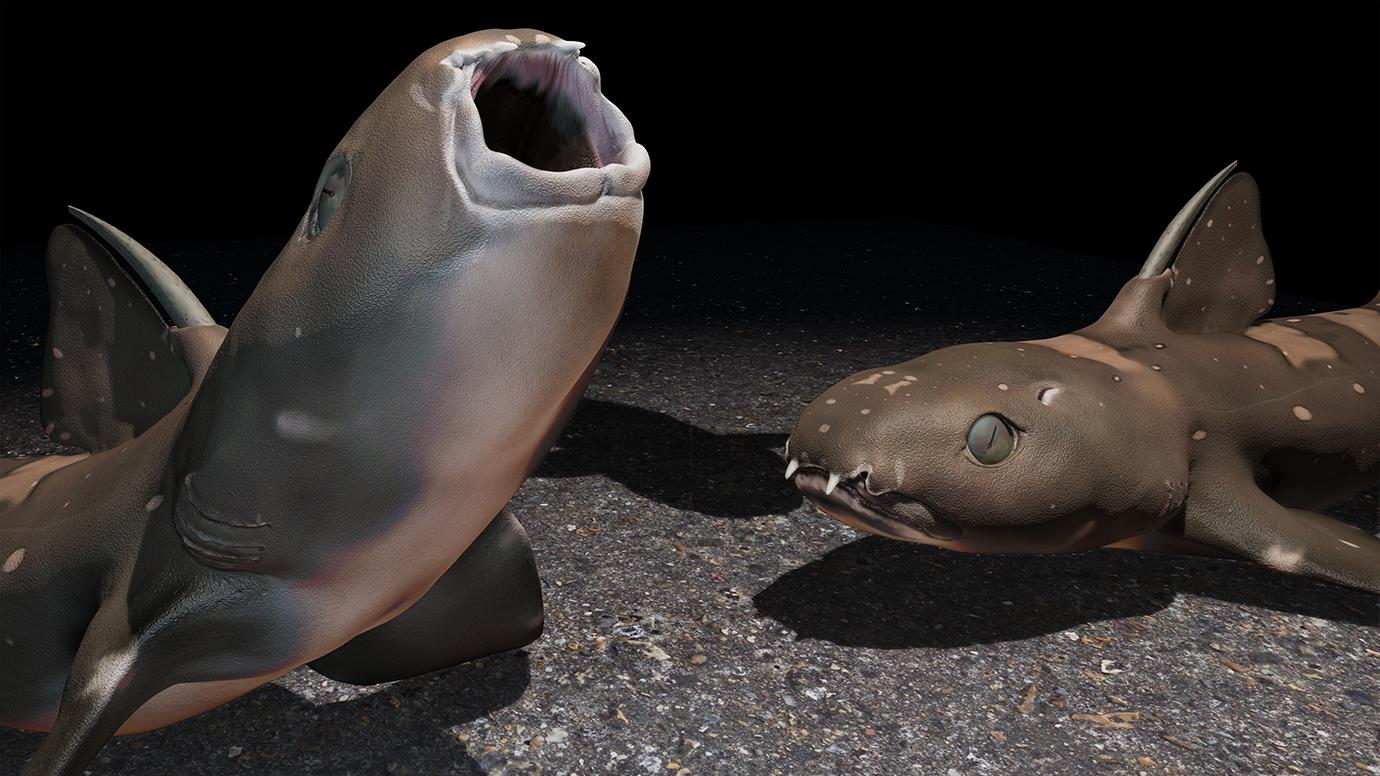 Newswise: Long before other fish, ancient sharks found an alternative way to feed