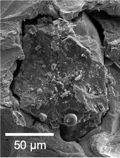 Researchers use an old process to freshly analyze a single grain of moon  dust