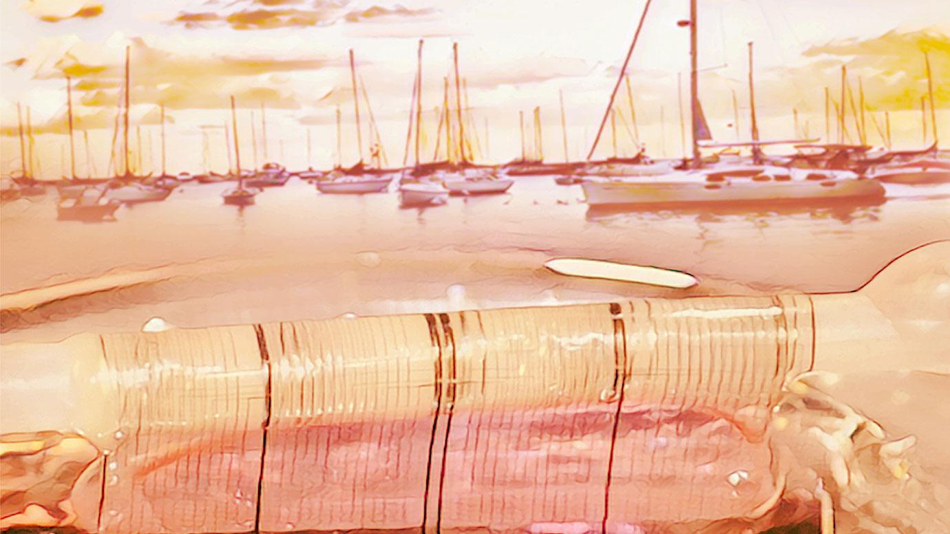 A superimposed photograph of a flexible bioelectronic device onto a Chicago harbor