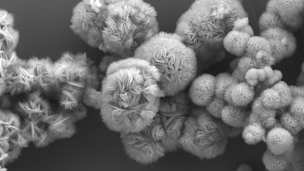 Scanning electron microscopy showing MXenes