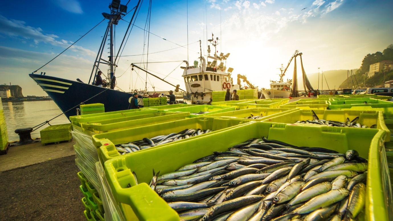 Commercial fishing policy rebuilding populations, not unduly
