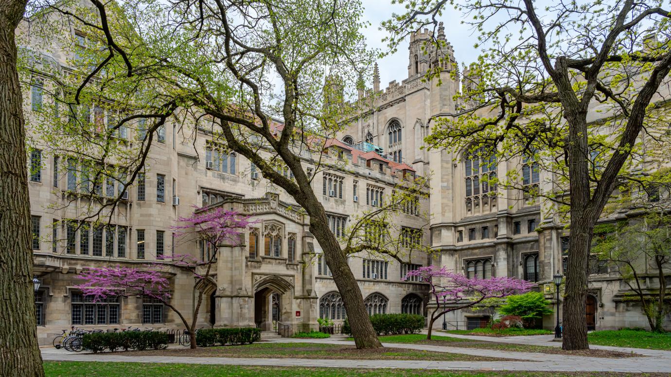Photograph of the UChicago campus in spring, with purple flowering trees in front of gothic buildings