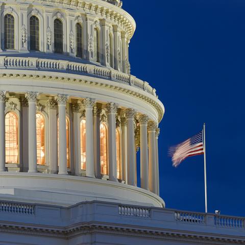 DC Capitol building with flag