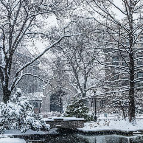 Botany Pond on a snowy day