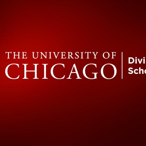 Richard A. Rosengarten | University Of Chicago News