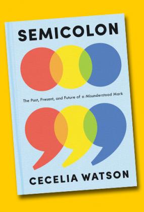 Semicolon book cover