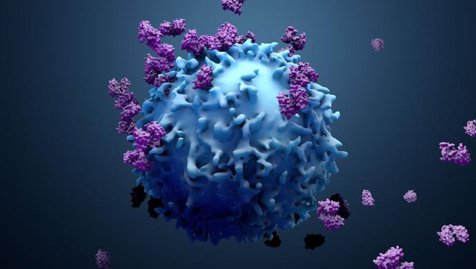 T-cells work to fight cancer