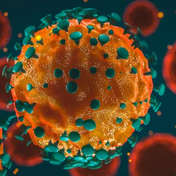 cartoon rendering of a coronavirus particle up close