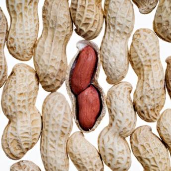 scientific-american-peanuts