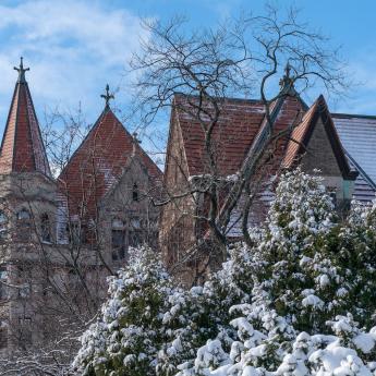 View of snow-covered plants on UChicago's campus, with Foster Hall in the background