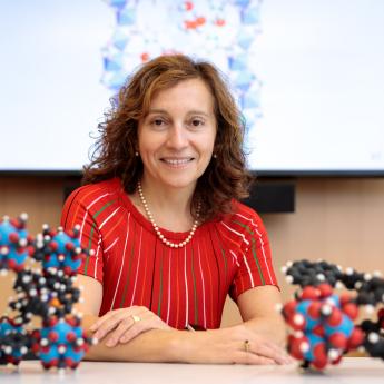 Prof. Laura Gagliardi at a desk with two models of molecules