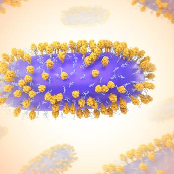 Artist rendering of a virus, long purple cylinder with yellow spikes all over