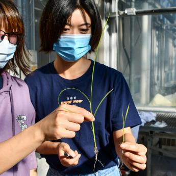 Two students working at the Plant Biology Center