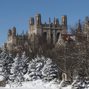 View over snowy pine trees to UChicago gothic architecture buildings against bright blue sky