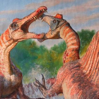 An artist's rendering of two spinosauruses in battle 