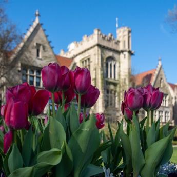 Spring campus with flowers