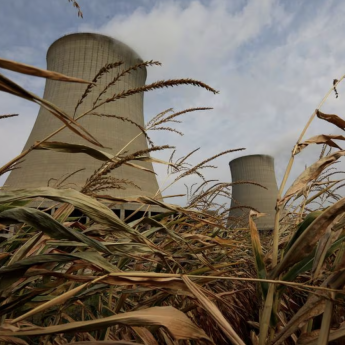 Two nuclear power cooling towers seen through weeds