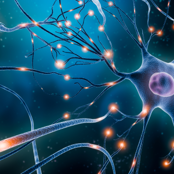 Fanciful glowing illustration of neurons with electrical signals traveling along pathways