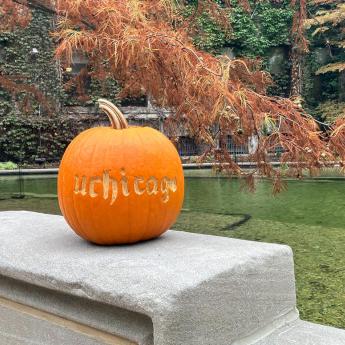 A pumpkin carved with the phrase "UChicago"