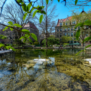 A view of Botany Pond at springtime