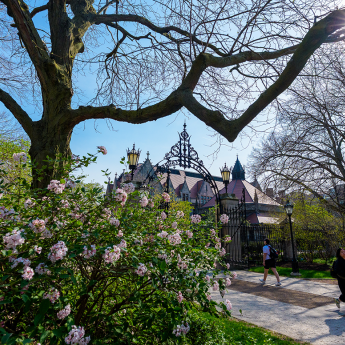  Hull Court Gate at springtime