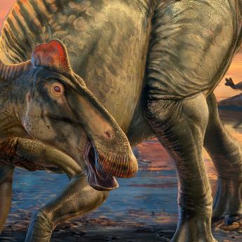 Duck-billed Dinosaur in the Mummy Zone