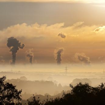 Pollution from factories over a forest