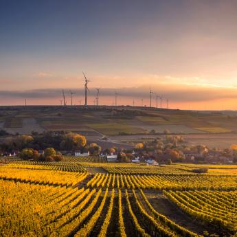 Farmland with wind turbines in the background