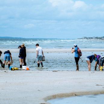 Students collecting items in the water at the beach