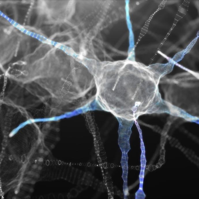 Artist's illustration of a neuron with long tendrils in black and white with small hints of color in the tendrils