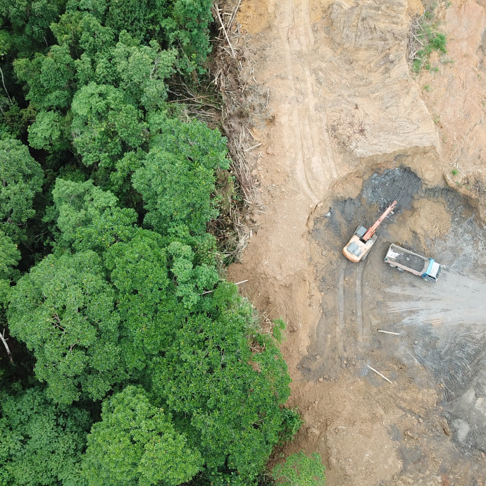 overhead aerial photograph showing forest to the left, and a cleared area with pale soil and runoff and several trucks to the right
