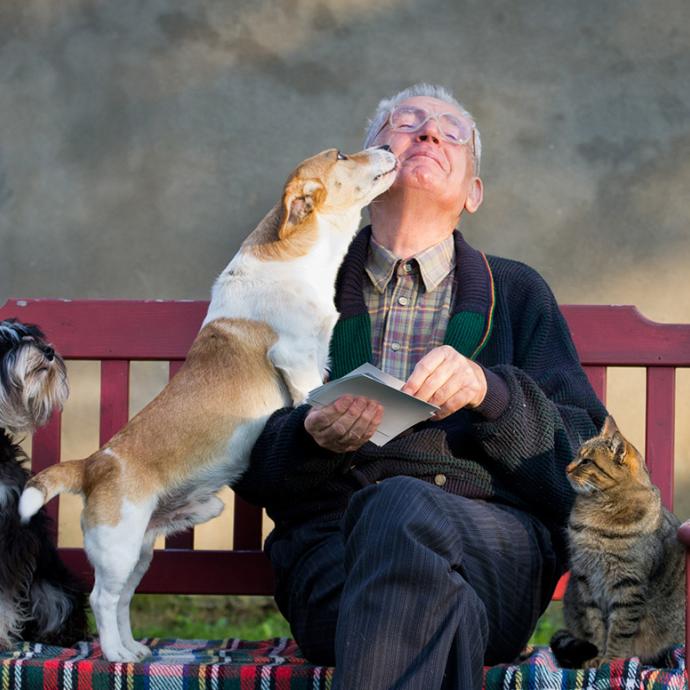 A man sits on a bench with 2 dogs and a cat
