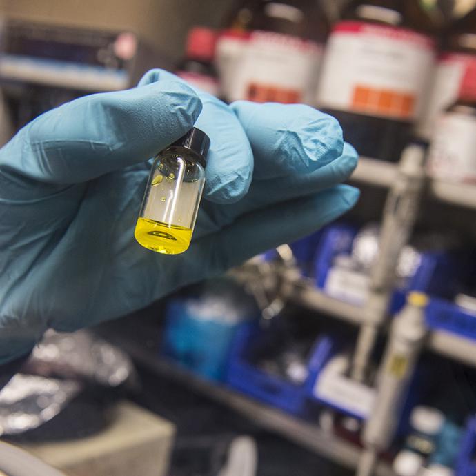 Photo closeup of a gloved hand holding a small beaker with yellow liquid