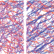 A research team at the University of Chicago is exploring how cells remember and respond to environmental pressure. In a simulated actin network, actin filaments start out randomly oriented (left) but align after pressure is applied (right). 