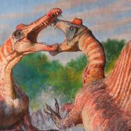 An artist's rendering of two orange Spinosauruses in battle. They have long necks and long jaws and sail-like fins on their backs
