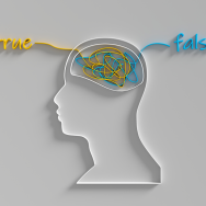 Outline of a human head with a tangle of yellow and blue lines in the "brain." The yellow line leads outside the brain to the left and says "true" while the blue line leads to the right and reads "false."