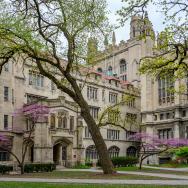 Photograph of the UChicago campus in spring, with purple flowering trees in front of gothic buildings