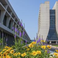 Photo of large buildings with flowers outside