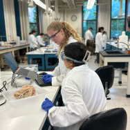 Students in lab coats, gloves and goggles look at a computer sitting on a table with lab equipment.