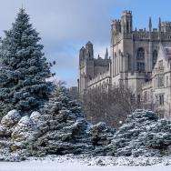 View of Harper Library during winter