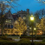 Holiday lights on campus